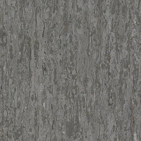 Линолеум Tarkett iq Optima BEIGE GREY 0874 фото 1 | FLOORDEALER